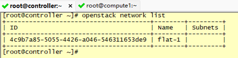 OpenStack(Train版)-部署Neutron（一）_IP_08