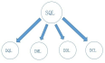 一文带你玩转SQL中的DML（数据操作）语言：从概念到常见操作大解析！数据操作不再难！