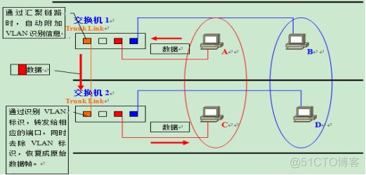 职场小白必备知识点-VLAN&TRUNK_数据_07