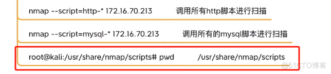 一文带你从了解到精通Nmap扫描器_UDP_06