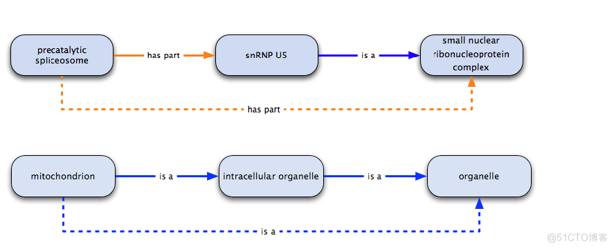 Understanding relations in GO_sed_02