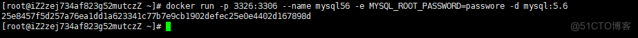 docker 容器部署mysql5.6_数据_04