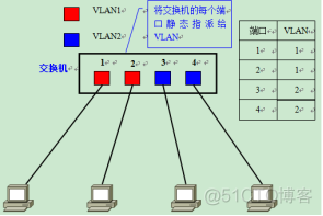 职场小白必备知识点-VLAN&TRUNK_数据_02