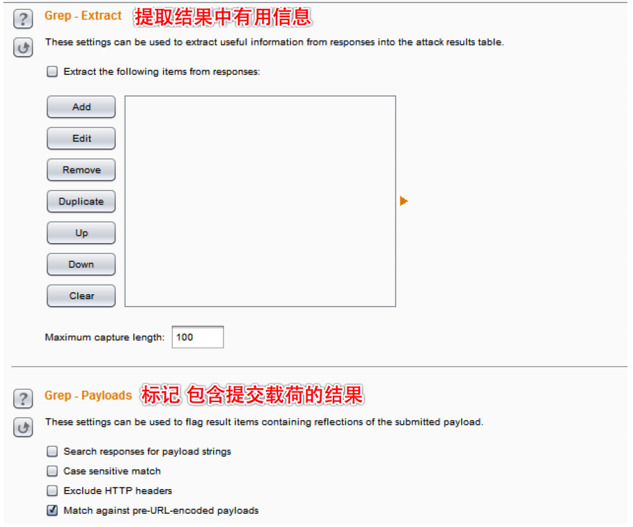 Burpsuite Intruder 暴力破jie实战_选项卡_07