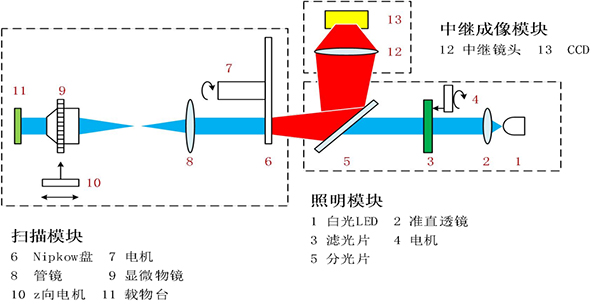 为什么激光共聚焦显微镜成像质量更好？_激光共聚焦