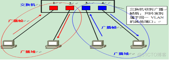 职场小白必备知识点-VLAN&TRUNK_数据_04