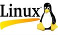 【Linux专题】退出bash后再运行jobs命令为什么不会显示后台任务