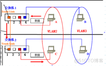 职场小白必备知识点-VLAN&TRUNK_数据帧_14