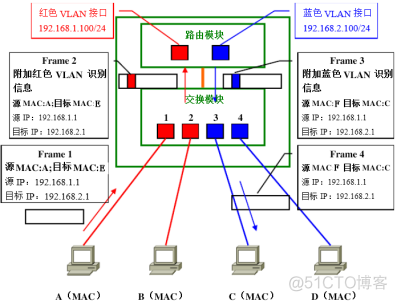 职场小白必备知识点-VLAN&TRUNK_IP_21