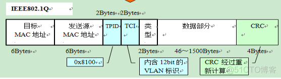 职场小白必备知识点-VLAN&TRUNK_数据_09