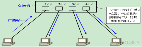 职场小白必备知识点-VLAN&TRUNK_数据_03