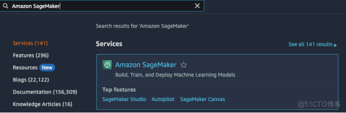 大语言模型（LLMs）在 Amazon SageMaker 上的动手实践_数据集