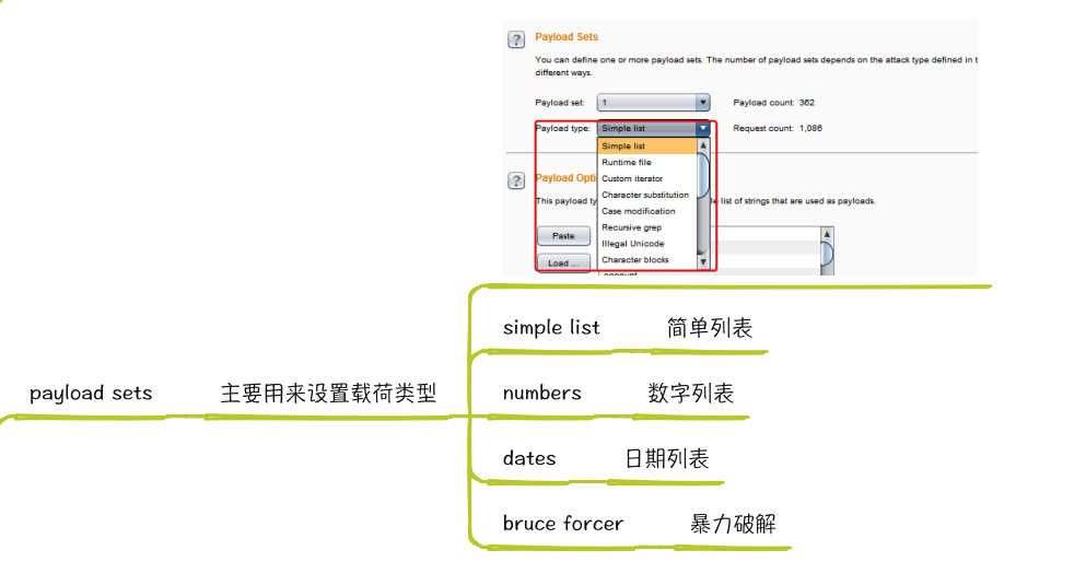 Burpsuite Intruder 暴力破jie实战_Burp_11