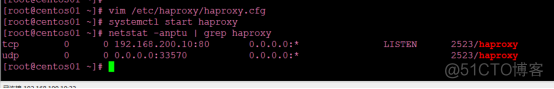 配置haproxy负载均衡群集_DNS_43