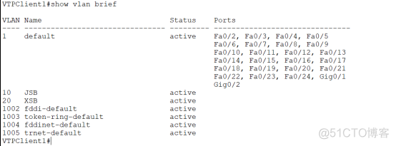 Cisco VTP_Cisco_06