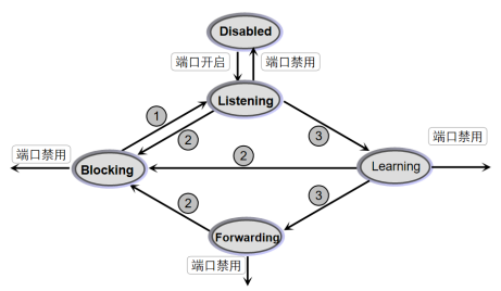 生成树（STP）原理及配置​_生成树_06