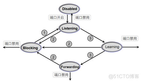 生成树（STP）原理及配置​_生成树_06