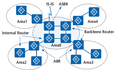  OSPF简介