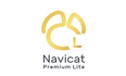 告别收费版烦恼!Navicat Premium Lite免费版它来了