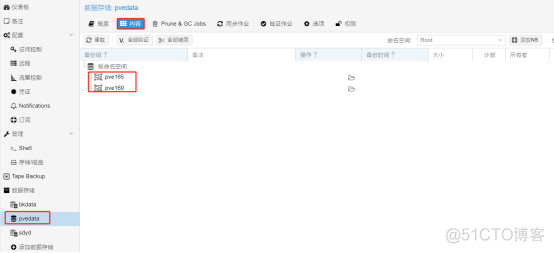 Proxmox Backup Server 命名空间使用_Web_04