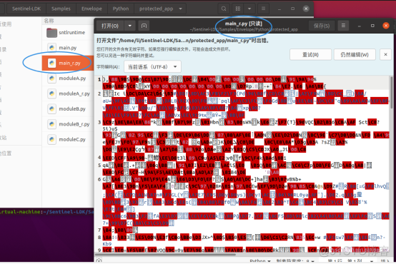 python程序代码这样加密保护，你觉得可以吗？_程序代码_10