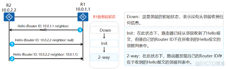 ospf 入门_OSPF_03