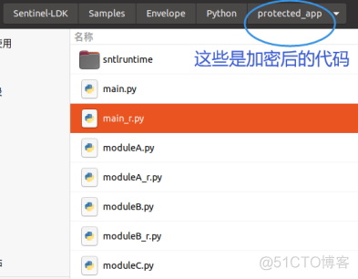 python程序代码这样加密保护，你觉得可以吗？_程序代码_08