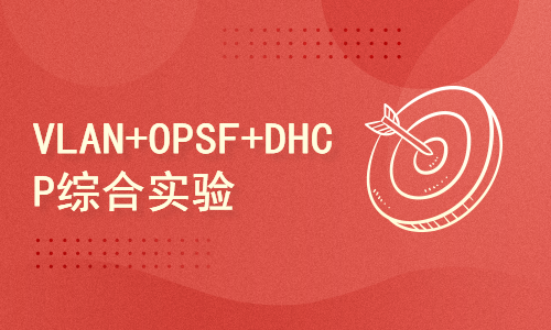 VLAN+OPSF+DHCP综合实验