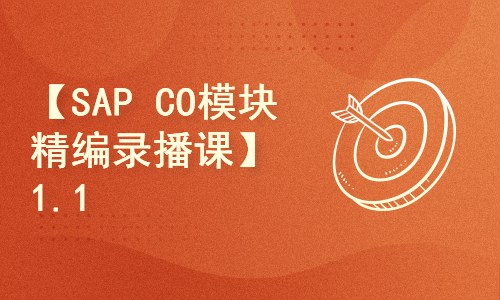 【SAP CO模块精编录播课】1.1SAP通讲