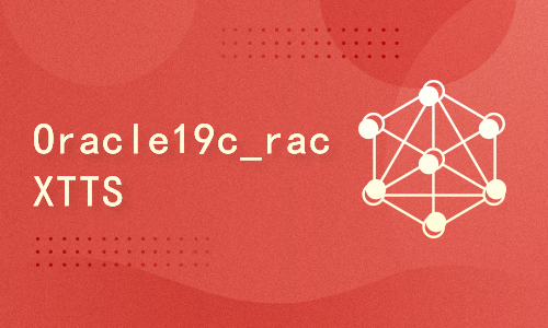 Oracle 19c rac dg安装、升级补丁，xtts迁移10g到19c rac