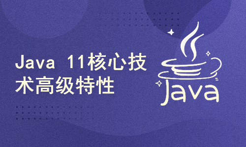 Java 11核心技术高级特性