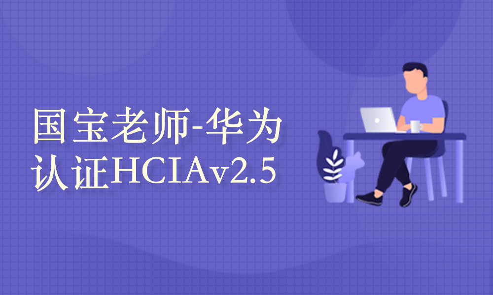 华为网络认证V2.5视频课程-国宝老师