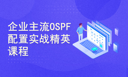 15年三IE动态路由OSPF,网络工程师玩转华为交换机路由器OSPF配置【HCIP OSPF专题】