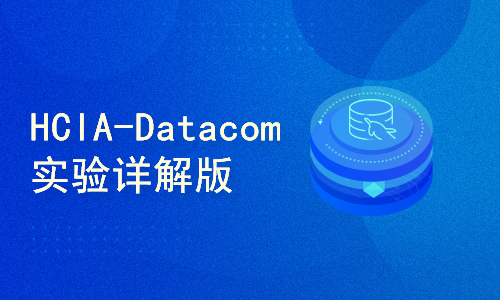 华为认证HCIA-Datacom实验指导教程，华为实验指导手册 ENSP配置，含园区网络项目实战