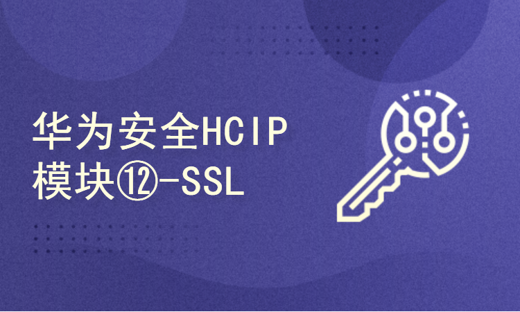华为安全HCIP模块⑫-SSL