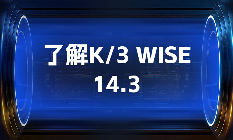 了解K/3 WISE 14.3
