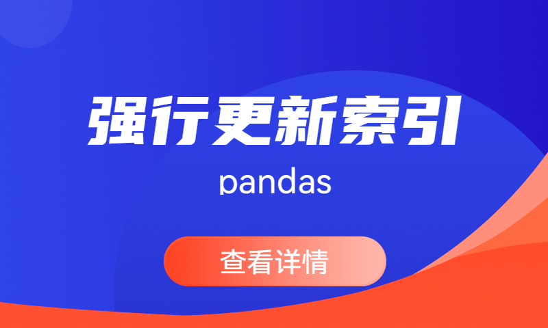 Pandas强行更新索引