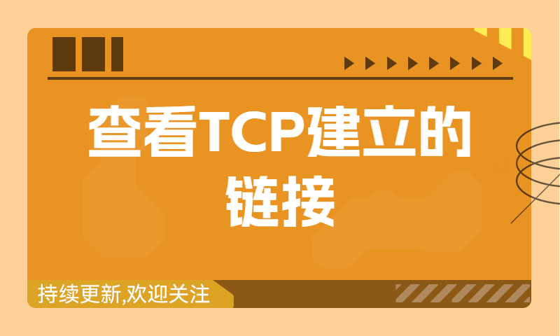 查看TCP建立的链接