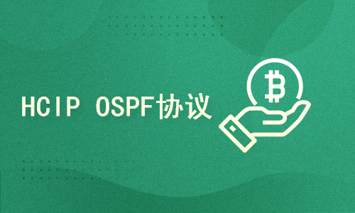 HCIP OSPF协议