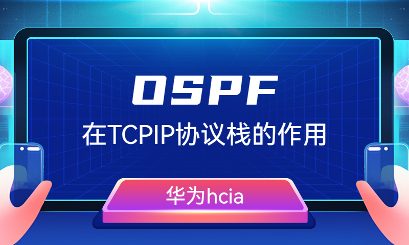 OSPF在TCPIP协议栈的作用