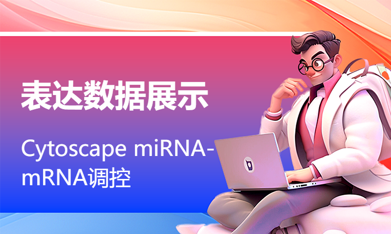 Cytoscape miRNA-mRNA调控 表达数据展示