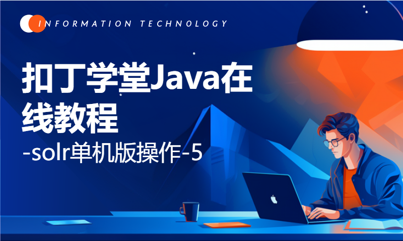 扣丁学堂Java在线教程-solr单机版操作-5