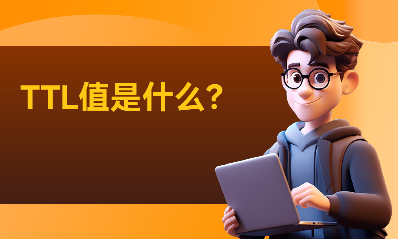 TTL值是什么？