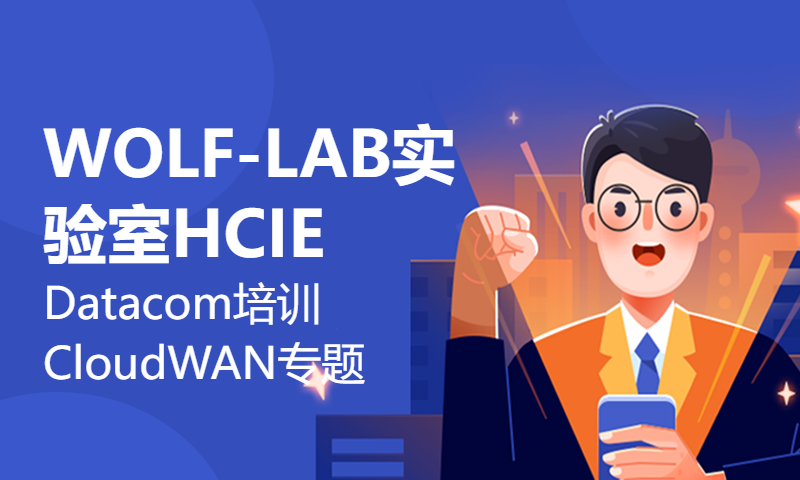 WOLF-LAB实验室HCIE Datacom培训CloudWAN专题SRV6的优点