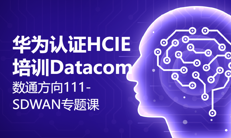 华为认证HCIE培训Datacom数通方向111-SDWAN专题课-综合实验（上）