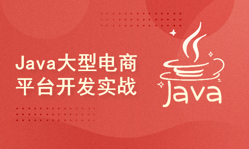 Java大型电商平台开发实战