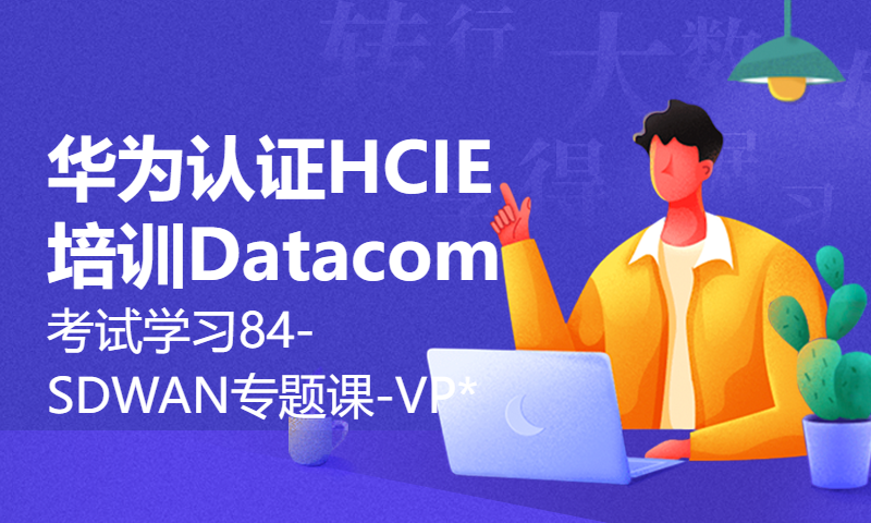 华为认证HCIE培训Datacom考试学习84-SDWAN专题课-VP*