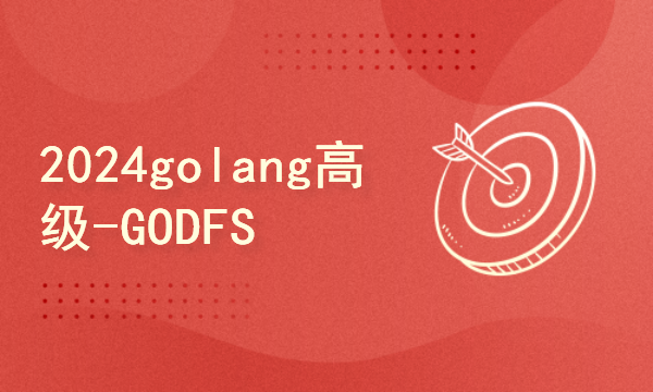 2024golang新教程-高级-GODFS