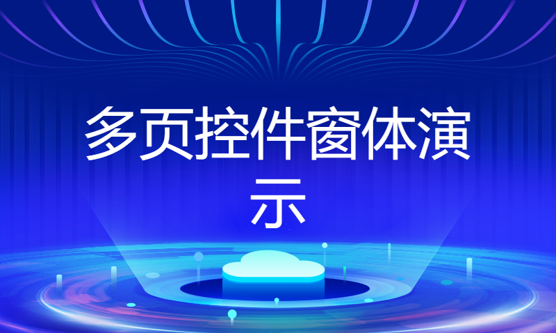 多页控件窗体演示