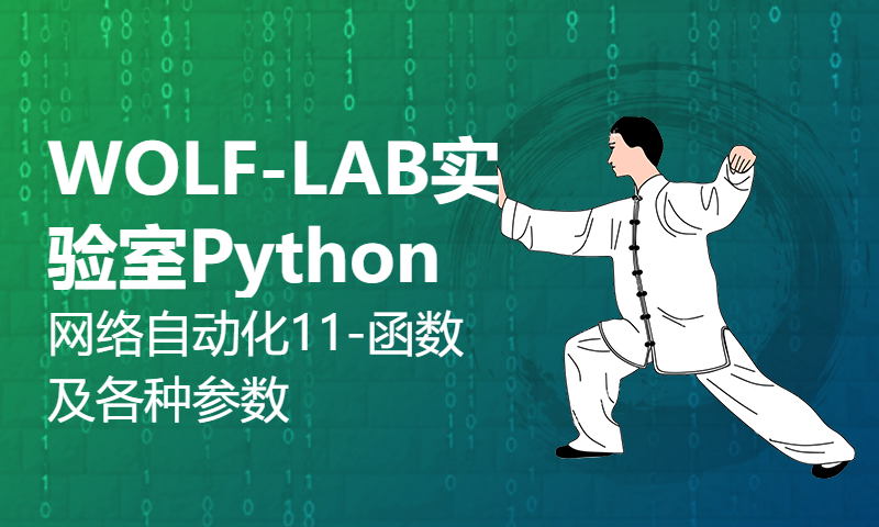 WOLF-LAB实验室Python网络自动化11-函数及各种参数